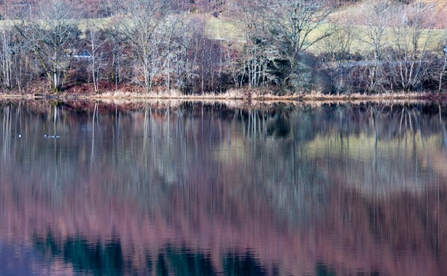 Reflections in the Loch